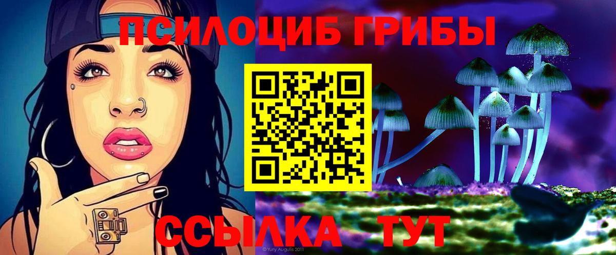 Псилоцибиновые грибы MAGIC MUSHROOMS Тверь