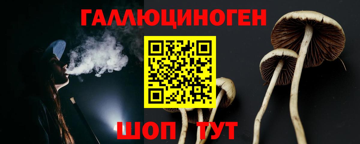 Тверь  Галлюциногенные грибы Psilocybine cubensis  Псилоцибиновые грибы MAGIC MUSHROOMS  закладки  Вход с VPN 