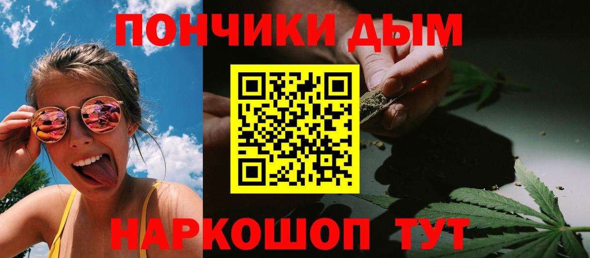 Канабис сатива Тверь